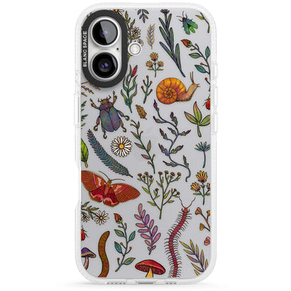 Insectes et fleurs sauvages