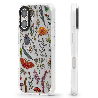 Insectes et fleurs sauvages