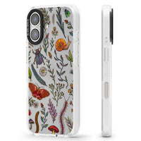 Insectes et fleurs sauvages