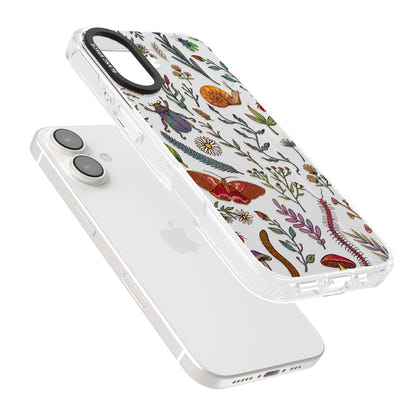 Insectes et fleurs sauvages