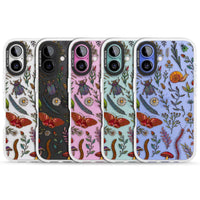 Insectes et fleurs sauvages