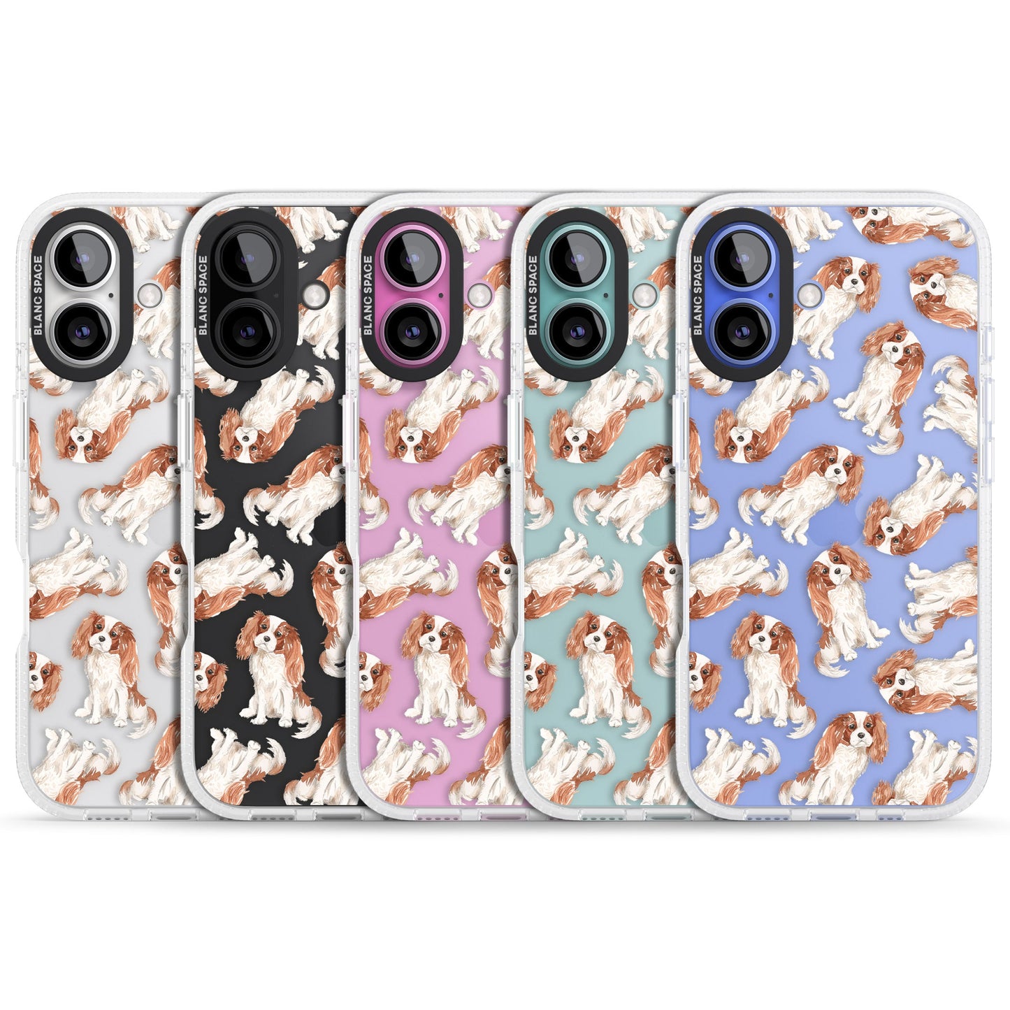 Cavalier King Charles Spaniel