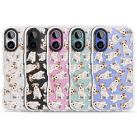 Jack Russell à poil dur fantaisiste