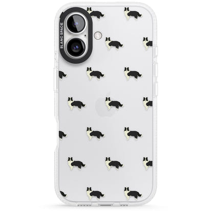 Border Collie Pattern Clear