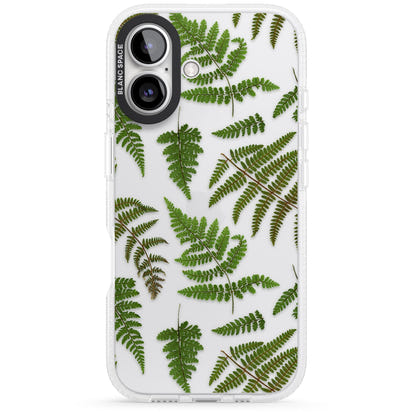 Leafy Ferns