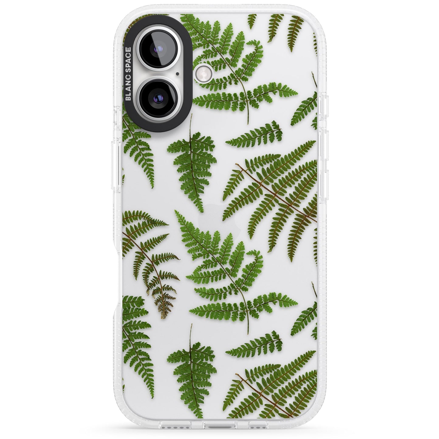 Leafy Ferns