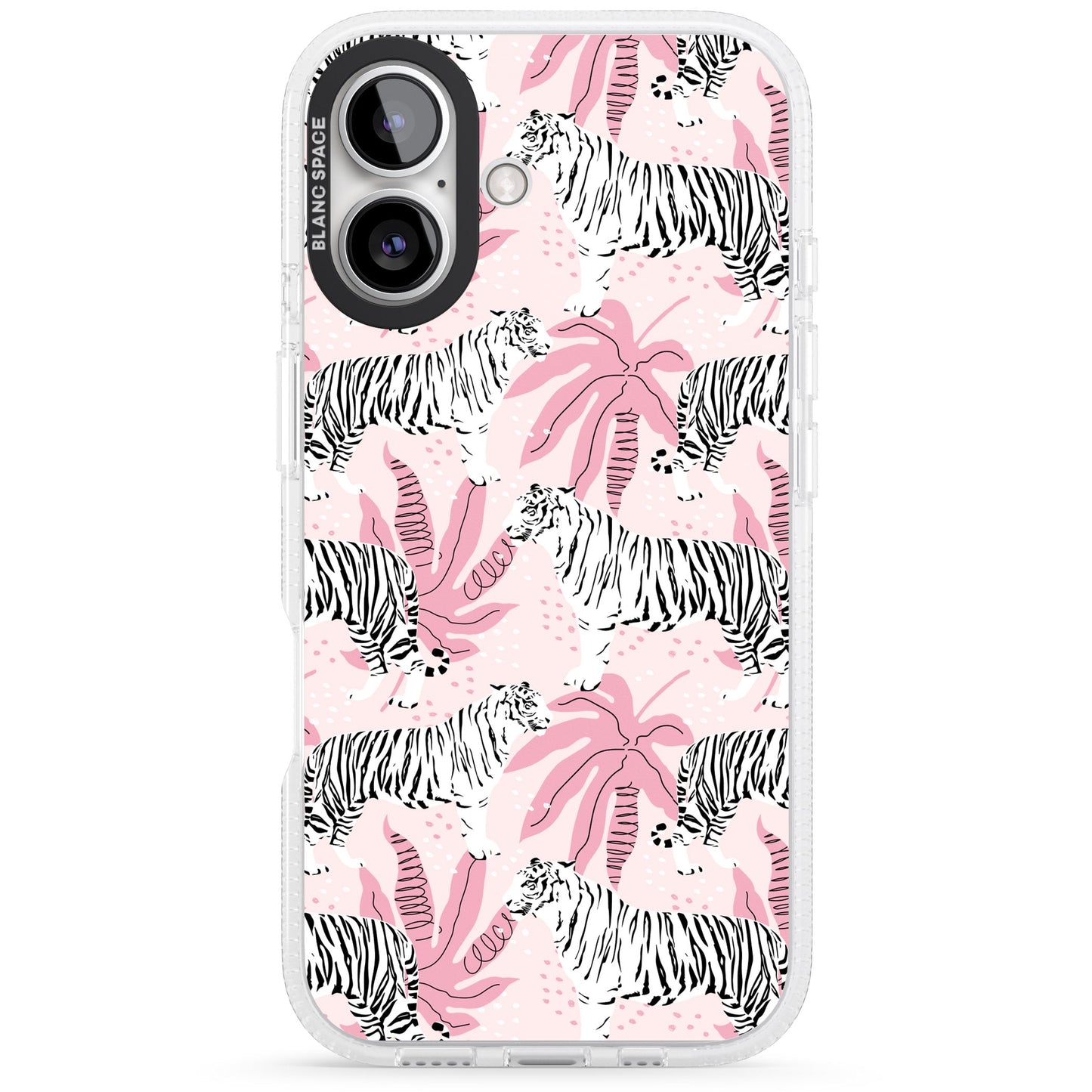 Pink Tiger Palm