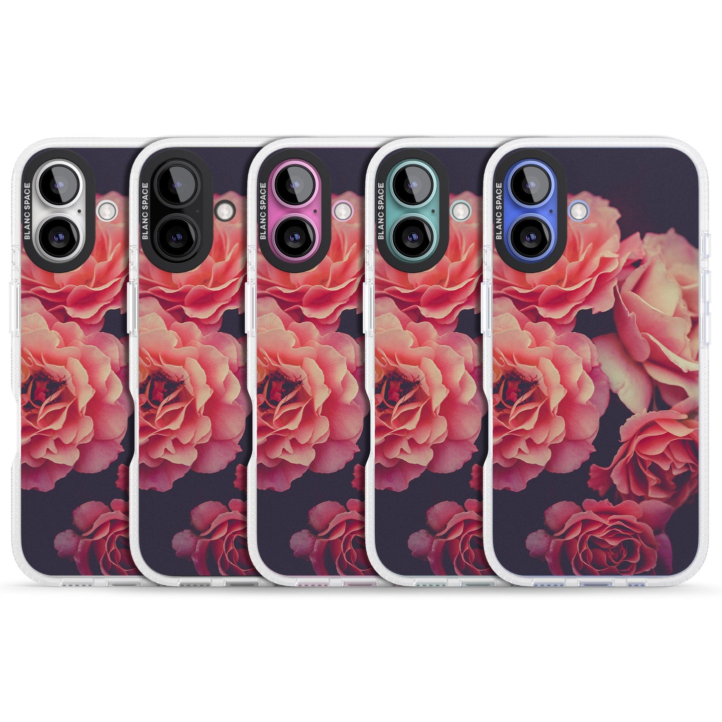 Mitternachtsrosenblüte