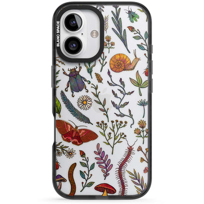 Insectes et fleurs sauvages