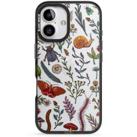 Insectes et fleurs sauvages