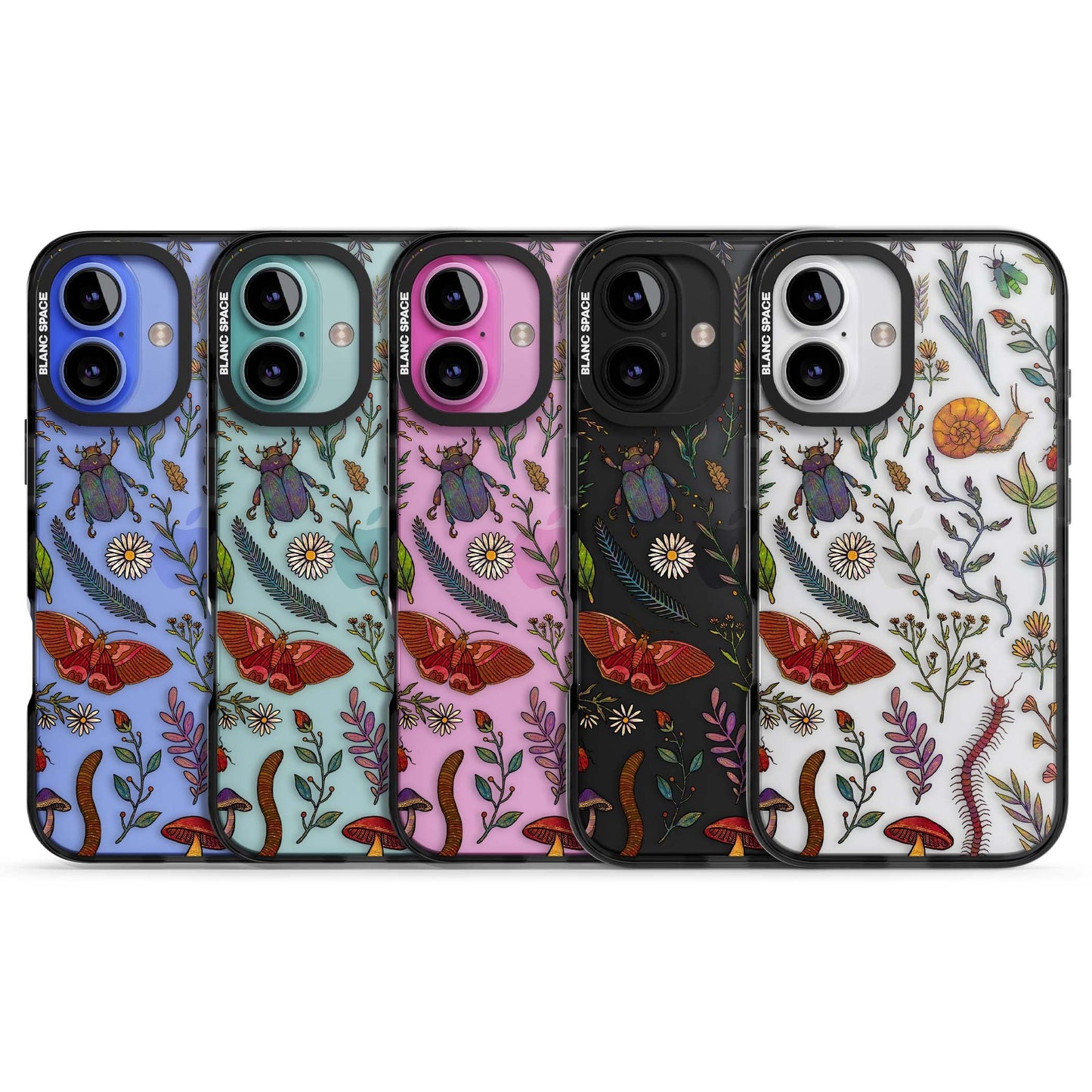 Insectes et fleurs sauvages