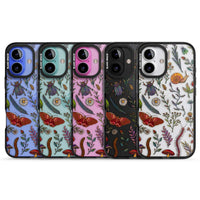 Insectes et fleurs sauvages