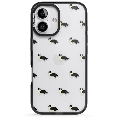Border Collie Pattern Clear