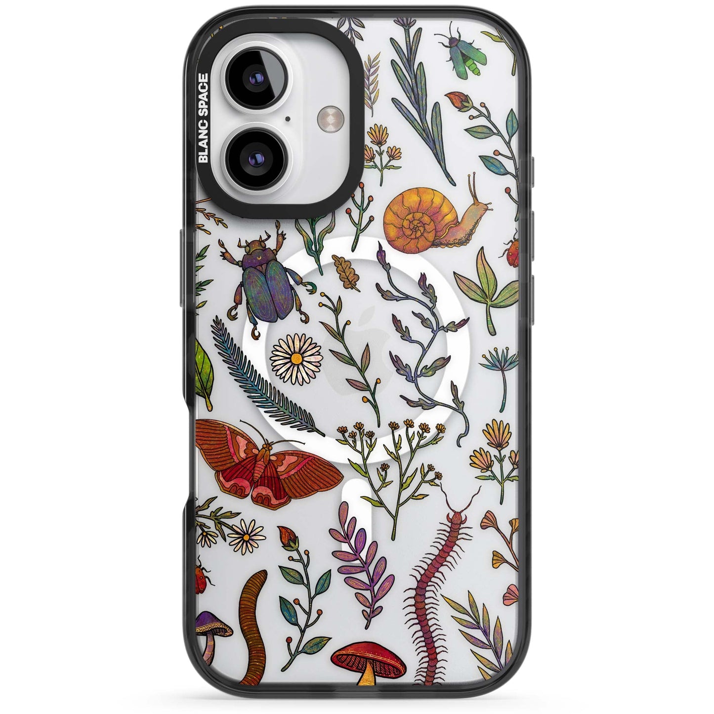 Insectes et fleurs sauvages