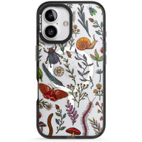 Insectes et fleurs sauvages