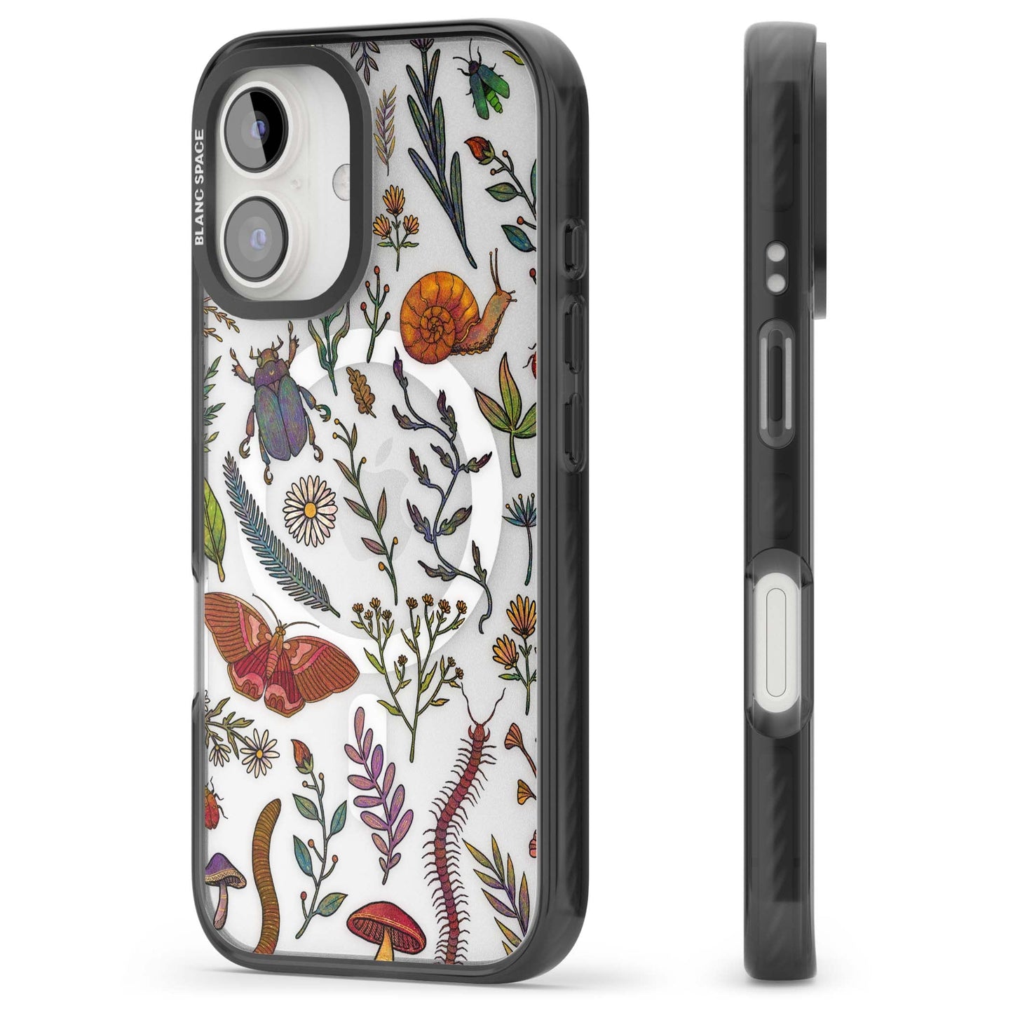 Insectes et fleurs sauvages