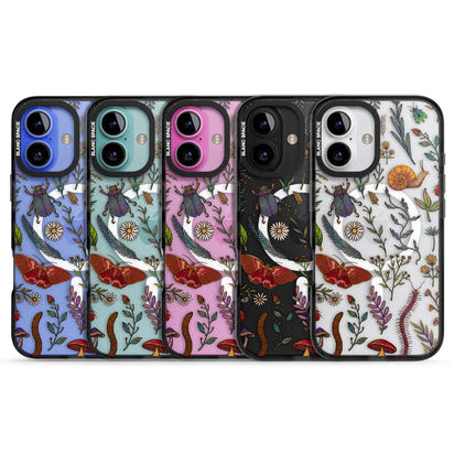 Insectes et fleurs sauvages