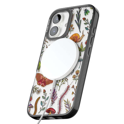 Insectes et fleurs sauvages