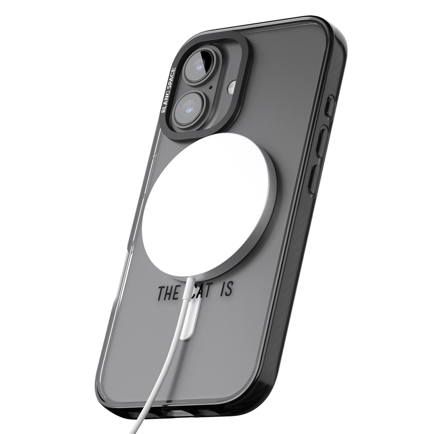 Home Is Where The Cat Is