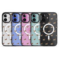 Cavalier King Charles Hundemuster