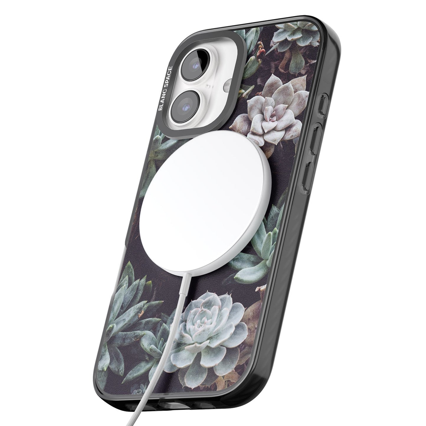 Succulent Bloom Mixed