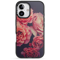 Mitternachtsrosenblüte