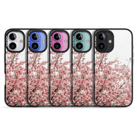 Cherry Blossom Bloom