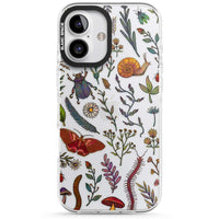 Insectes et fleurs sauvages