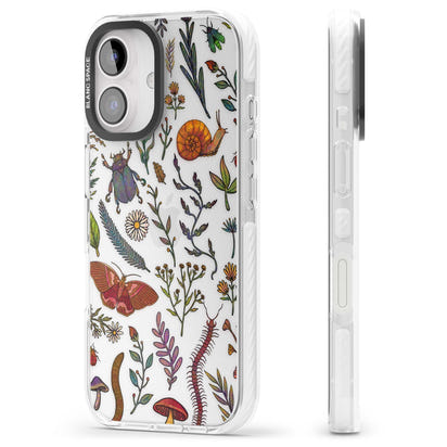 Insectes et fleurs sauvages