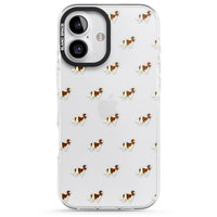 Cavalier King Charles Hundemuster