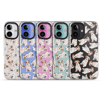 Jack Russell à poil dur fantaisiste