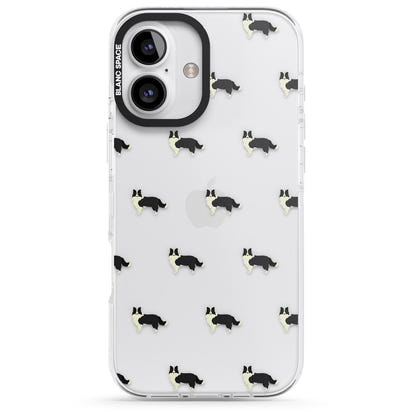 Border Collie Pattern Clear