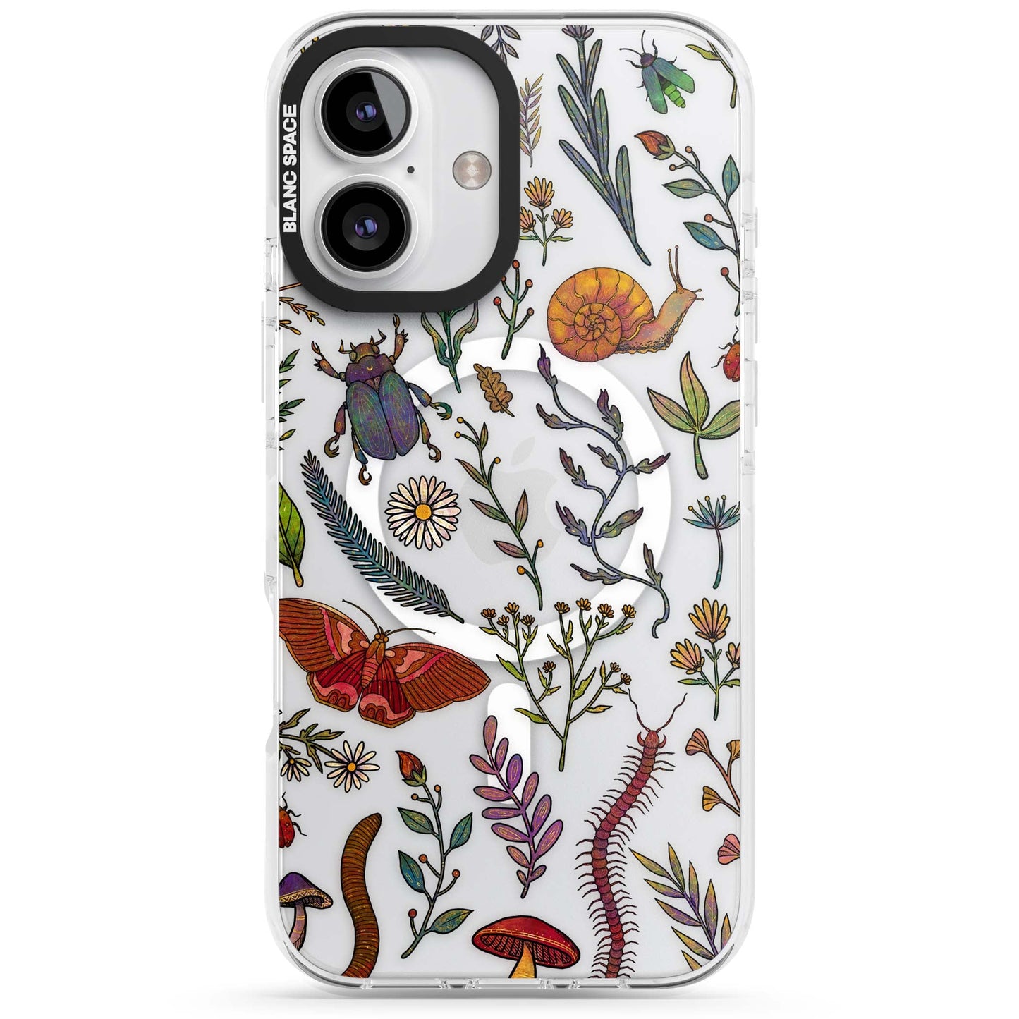 Insectes et fleurs sauvages