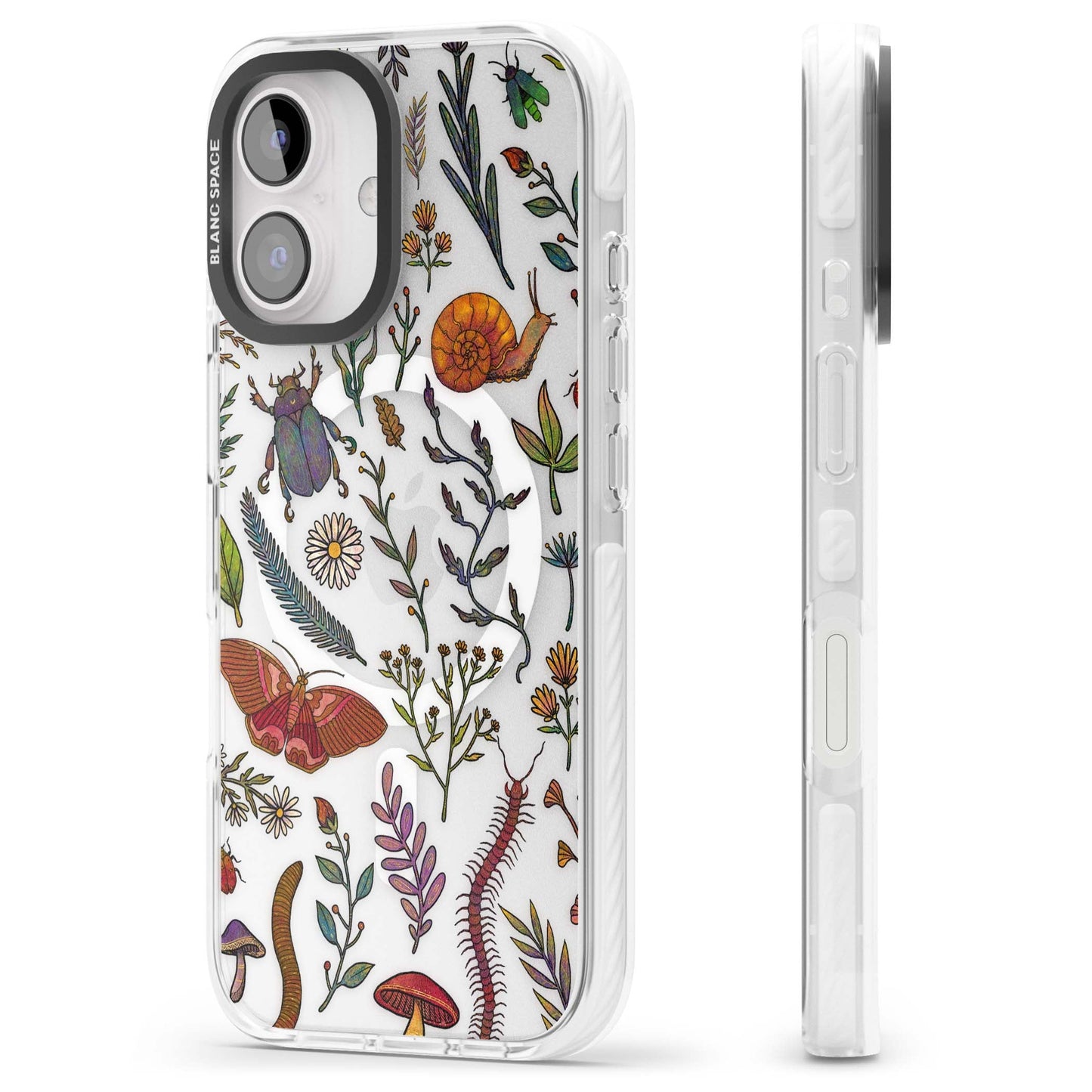 Insectes et fleurs sauvages