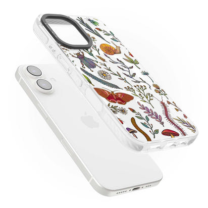 Insectes et fleurs sauvages