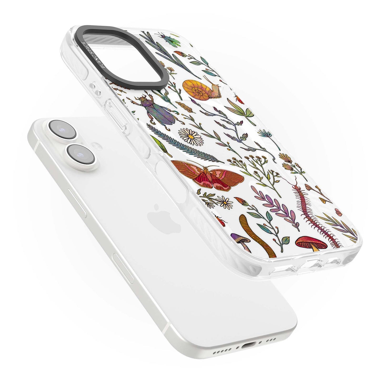 Insectes et fleurs sauvages