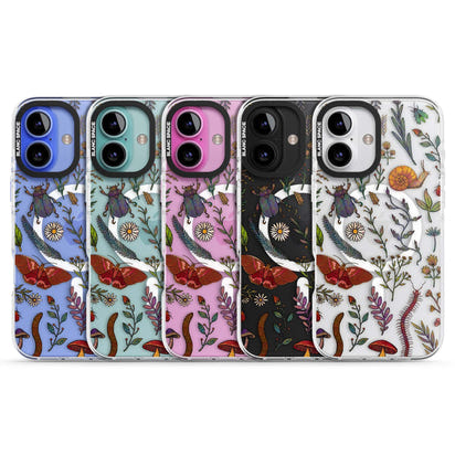 Insectes et fleurs sauvages