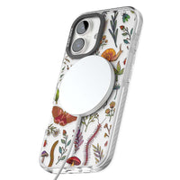 Insectes et fleurs sauvages