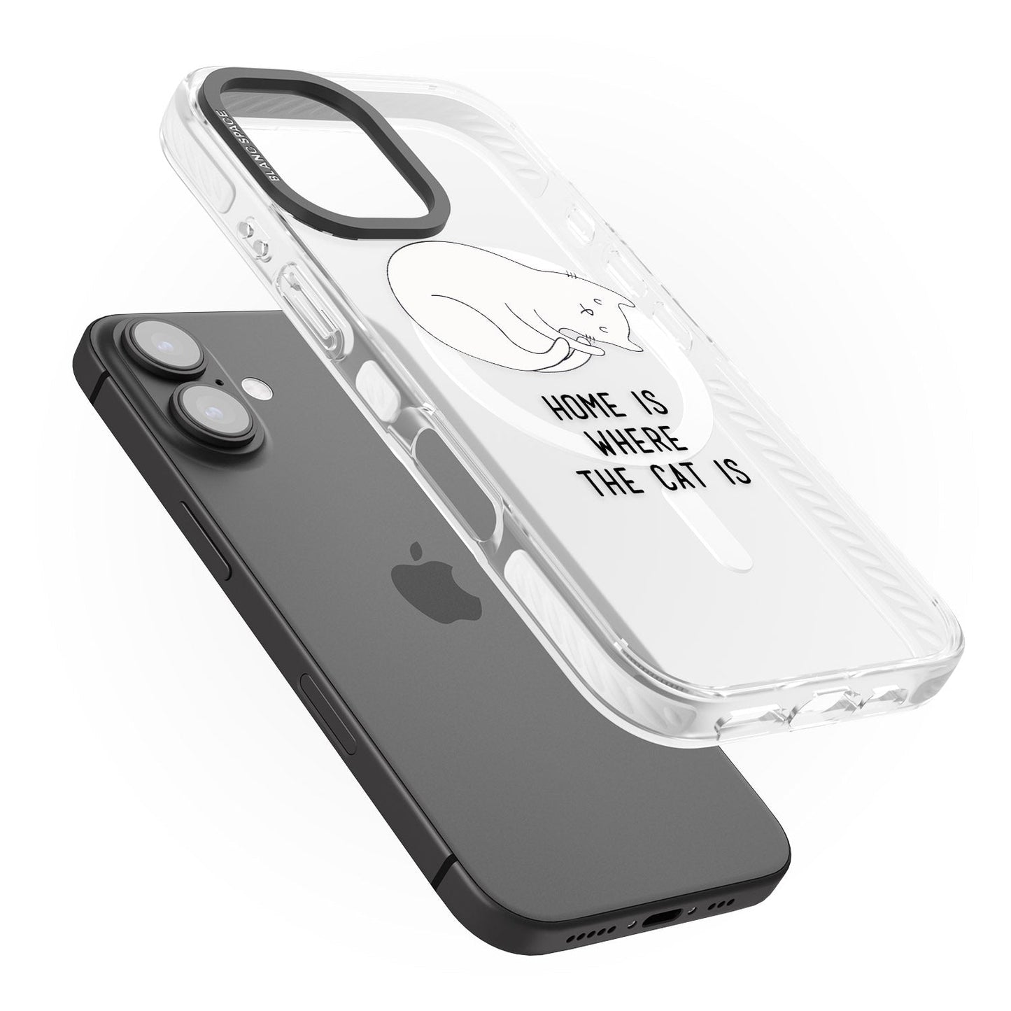 Home Is Where The Cat Is