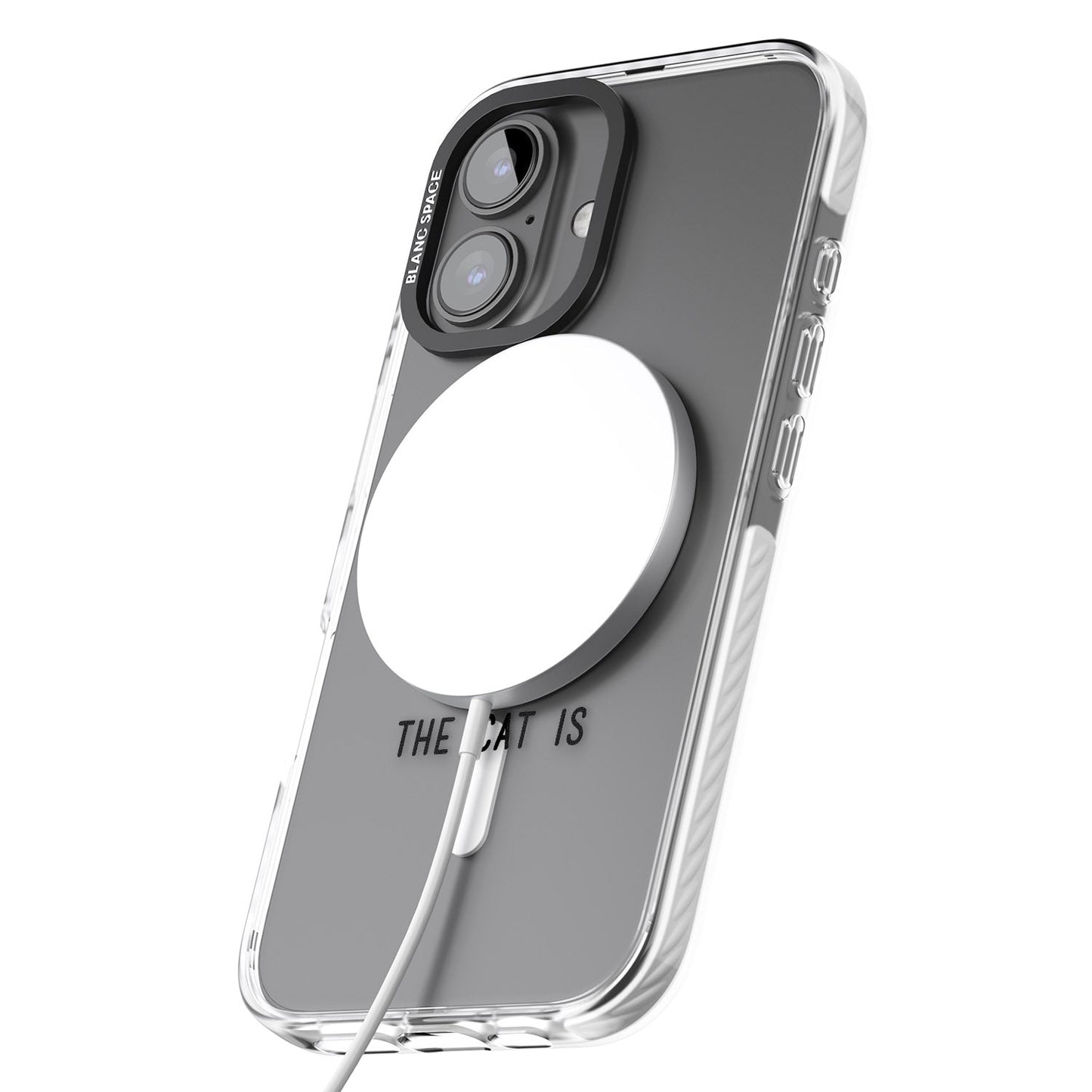 Home Is Where The Cat Is