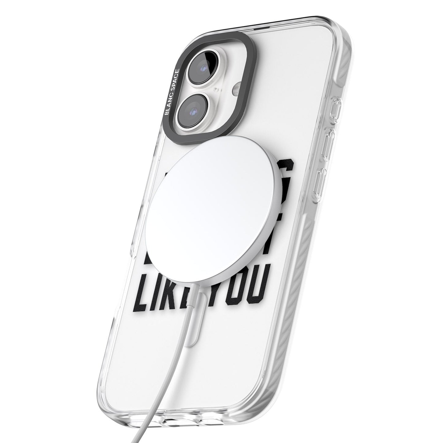 My Dog Doesn'T Like You