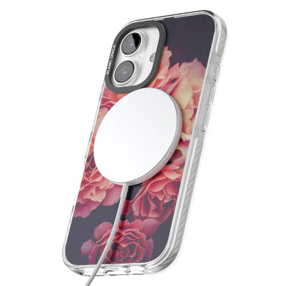 Mitternachtsrosenblüte