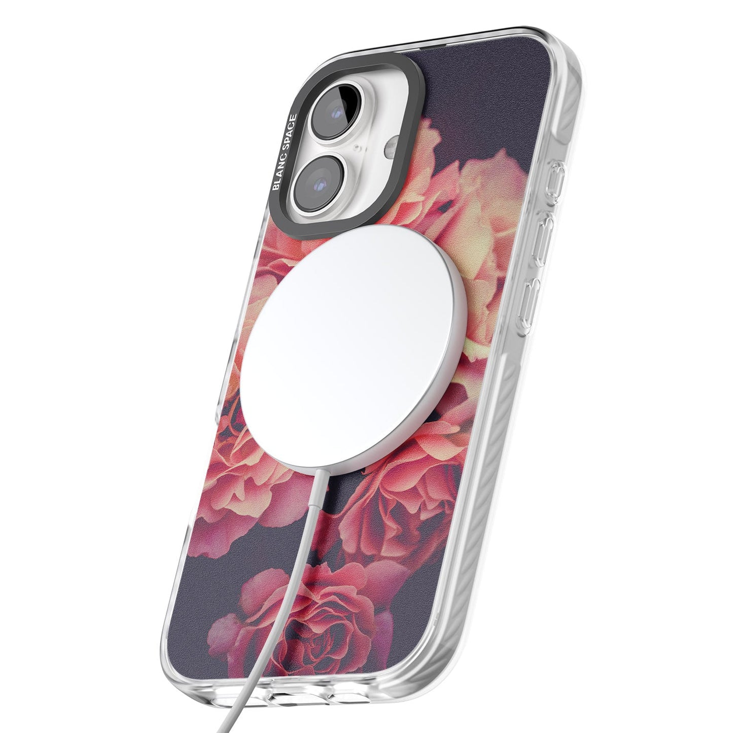 Mitternachtsrosenblüte