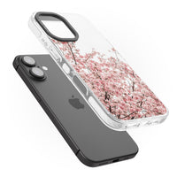 Cherry Blossom Bloom