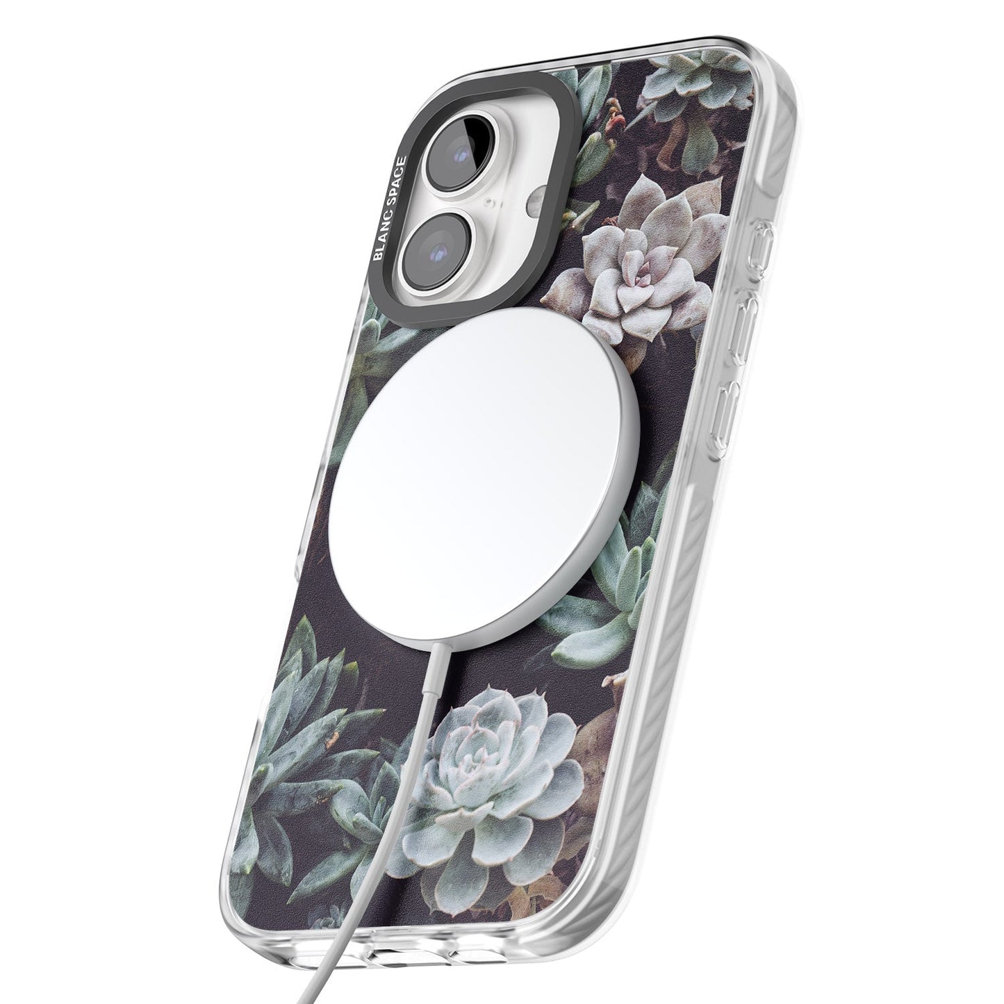 Succulent Bloom Mixed