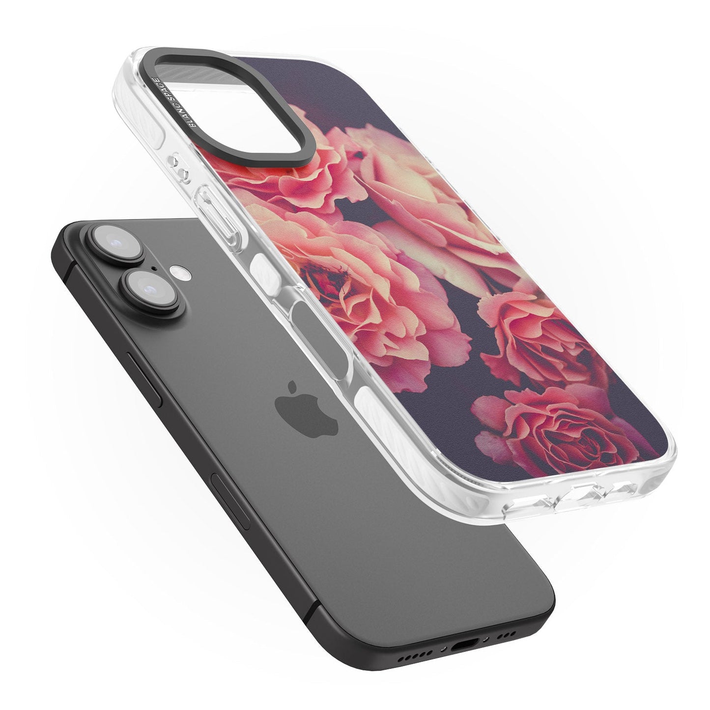 Mitternachtsrosenblüte