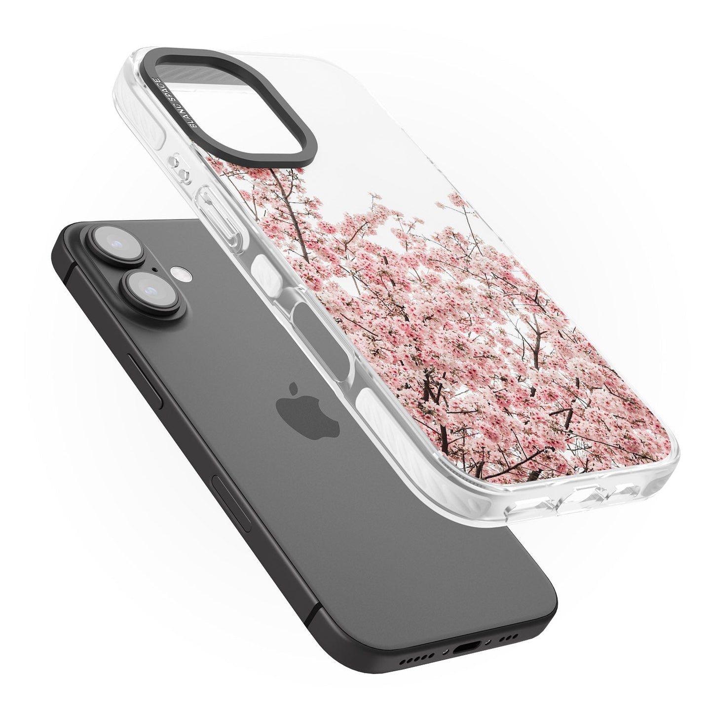 Cherry Blossom Bloom