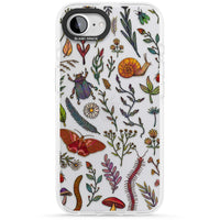 Insectes et fleurs sauvages