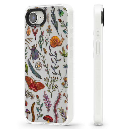 Insectes et fleurs sauvages