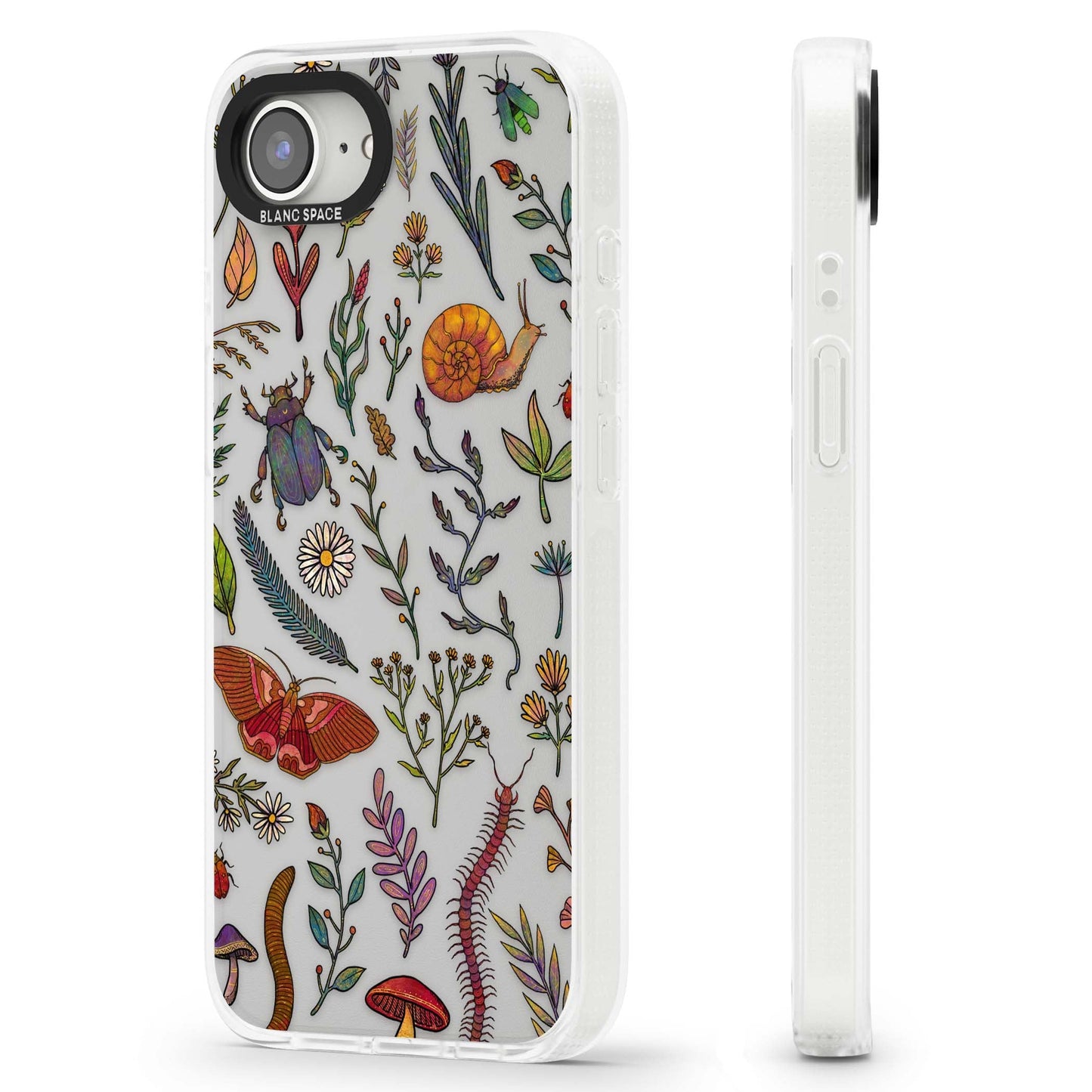 Insectes et fleurs sauvages